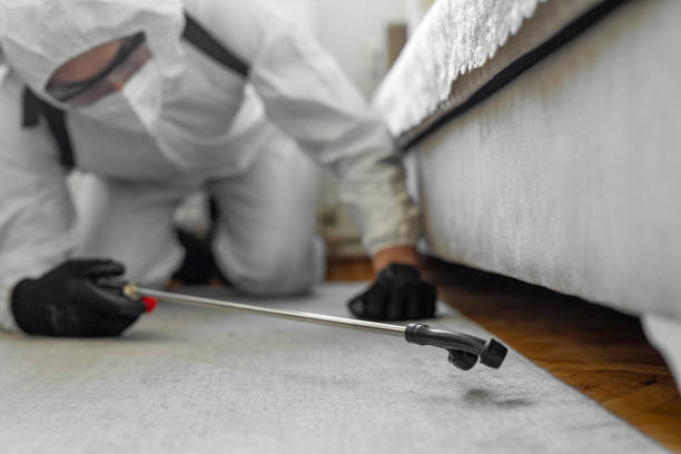 Professional Ant Control technician working in Mount Pleasant, NC