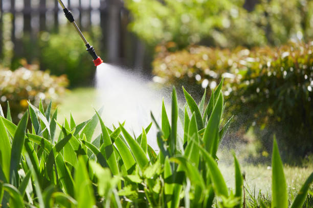 24/7 Emergency Wasp Removal experts in Mount Pleasant, NC