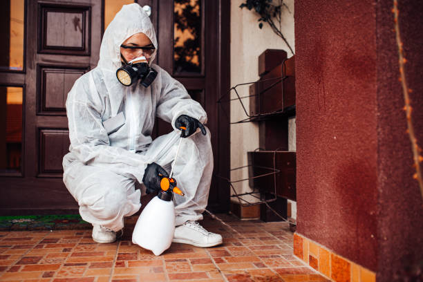 Reliable Wasp Removal contractor in Mount Pleasant, NC by Show Me Pest Control